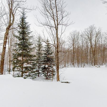 Jay Peak Village Home 367B Экстерьер фото